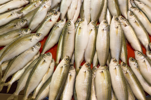 海鲜和生鱼市场。食品概念的照片。图片下载