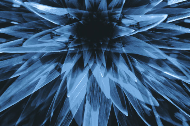 近距离观察，你会看到一种有着长长的叶子的超现实大植物的幻觉。对酒精和毒品主题的消极抽象幻觉。大麻或酒精的致幻热带效应。迷幻药的效果。大麻毒品。图片下载