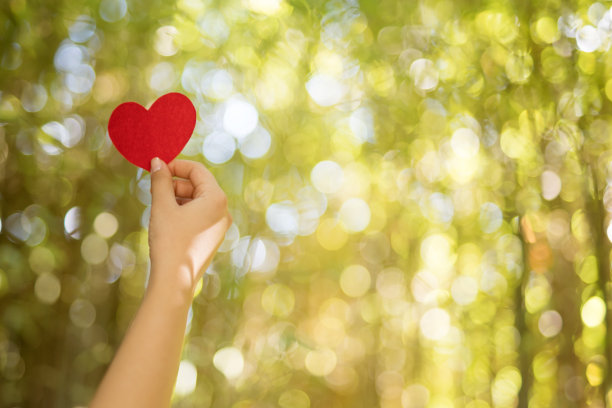 女人的手捧着红心图片下载