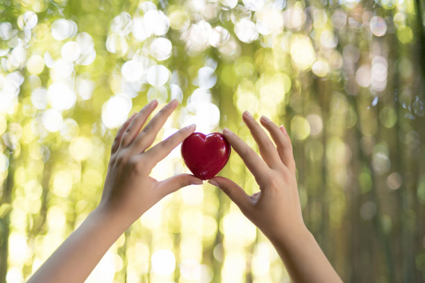 女人的手捧着红心图片下载