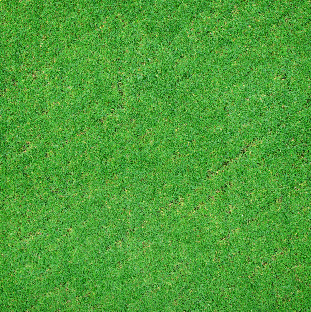 绿草的纹理图片下载