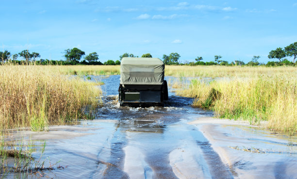 驾车穿过水，塞林达野生动物保护区，博茨瓦纳图片下载