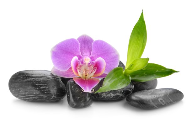 水疗中心组成图片下载