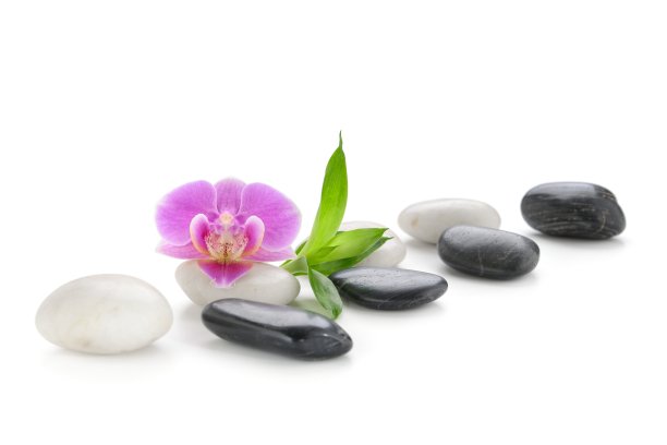 水疗中心组成图片下载