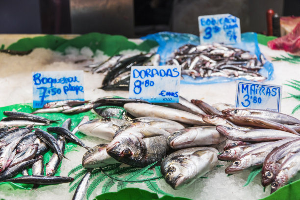 巴塞罗那La Boqueria市场的鱼图片下载