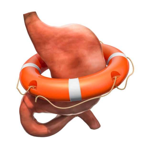 人体胃带救生，保胃理念。3D渲染孤立的白色背景图片下载