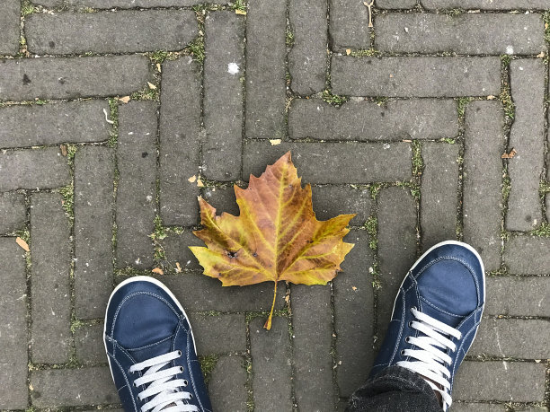 秋叶紧贴着人的脚走在人行道上图片下载