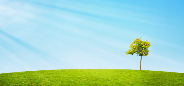 景观全景横幅图片下载