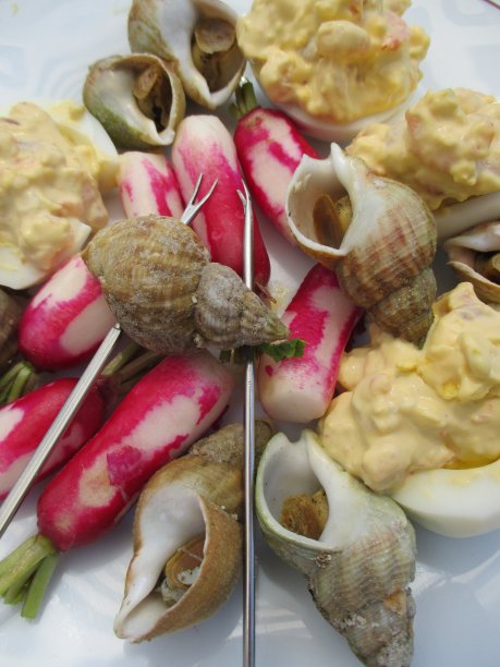 煮球根蛋含苞欲放萝卜冷盘图片下载