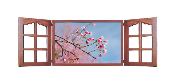 窗框花背景孤立，带有剪切路径图片下载