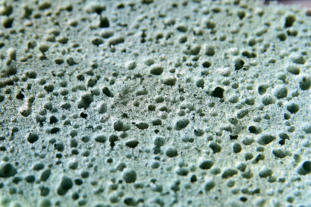 抽象的灰绿色月亮纹理。寒冷的背景。图片下载