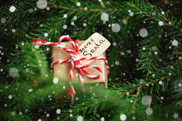 圣诞礼物或秘密圣诞老人的盒子在圣诞树枝的背景图片下载