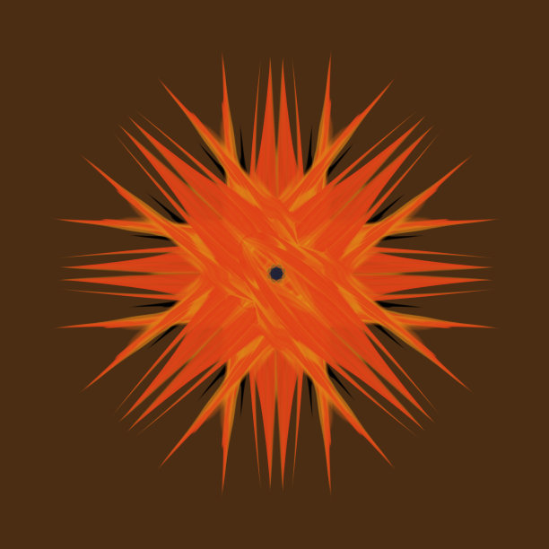 橙色海胆纲魅力图片下载