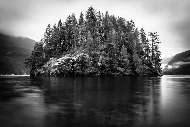 常绿森林岛。单色的风景。图片下载