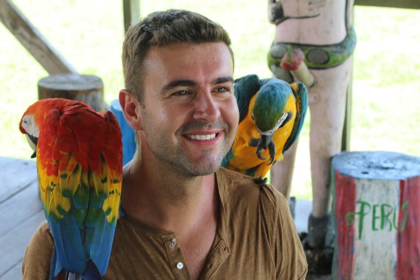 英俊的游客与到访秘鲁的金刚鹦鹉互动图片下载