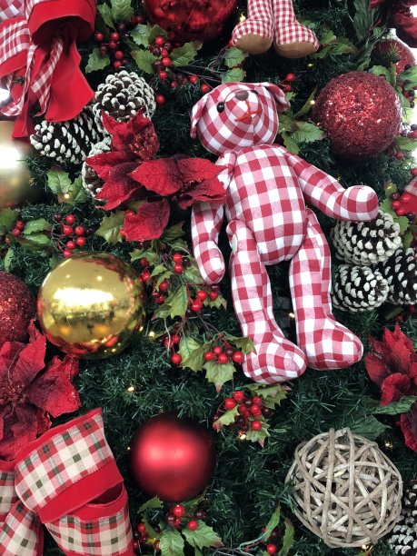 圣诞树图片下载