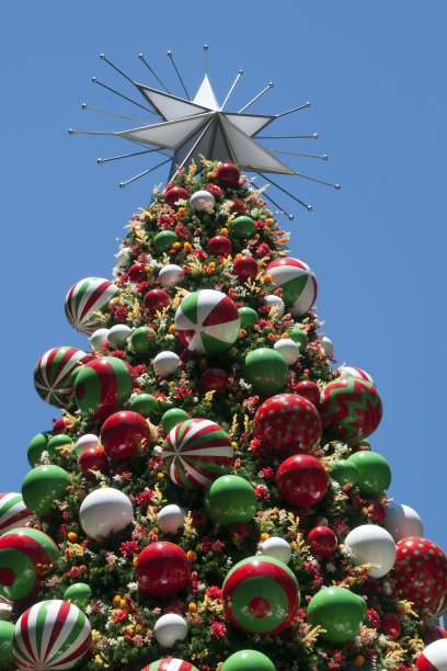 在马丁广场装饰过的圣诞树的顶端图片下载