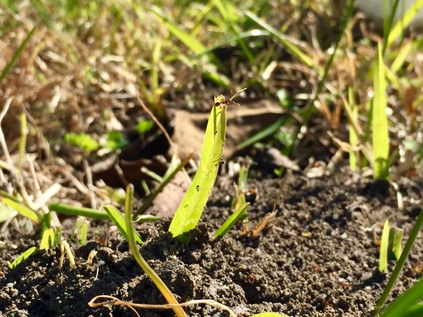 乡村公路图片下载