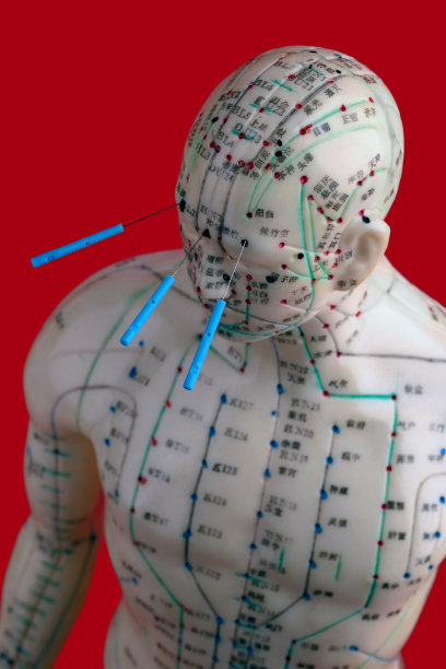 针刺模型图片下载