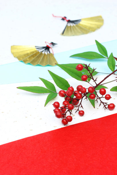 日本新年形象(乌吉和南天)素材图片