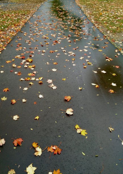 加拿大的秋天走图片下载