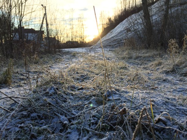太阳,光,早晨,雪,冬天图片下载
