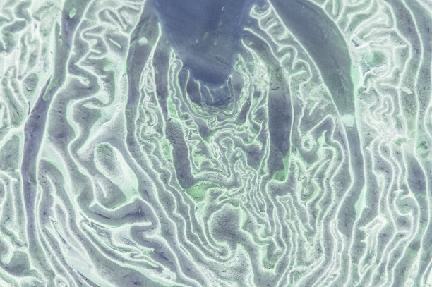 卷心菜x射线图片下载