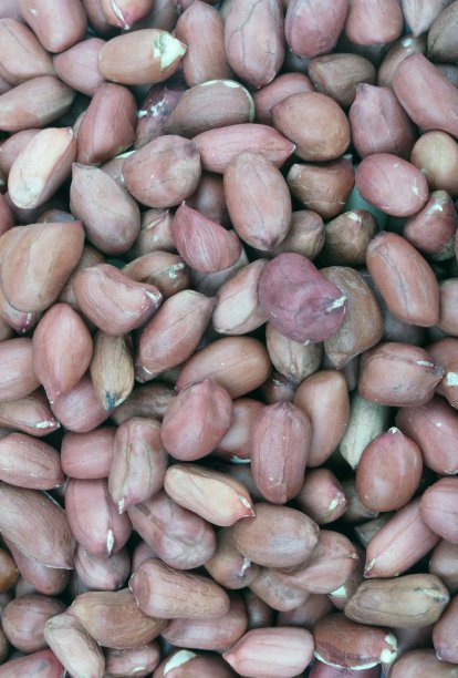 落花生的背景图片下载