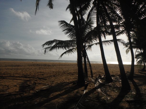 海滩-斯里兰卡图片下载
