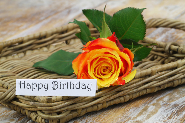 生日贺卡上有一只橙色的玫瑰，上面覆盖着闪光，特写图片下载