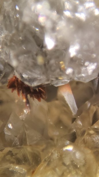 美的奥秘图片下载