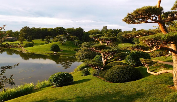 芝加哥植物园日本花园景观图片下载