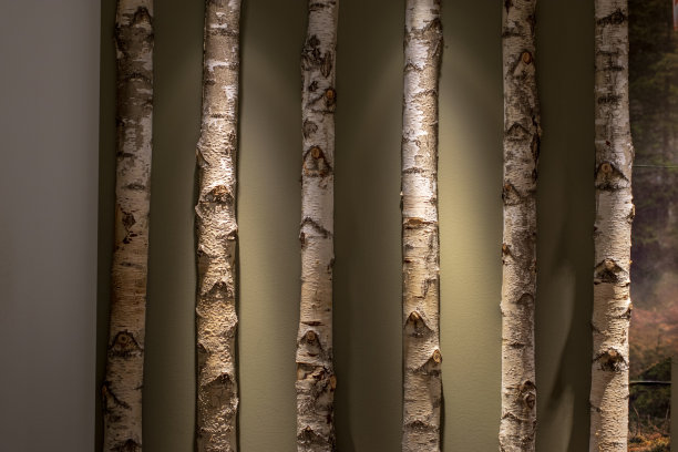 墙装饰图片下载