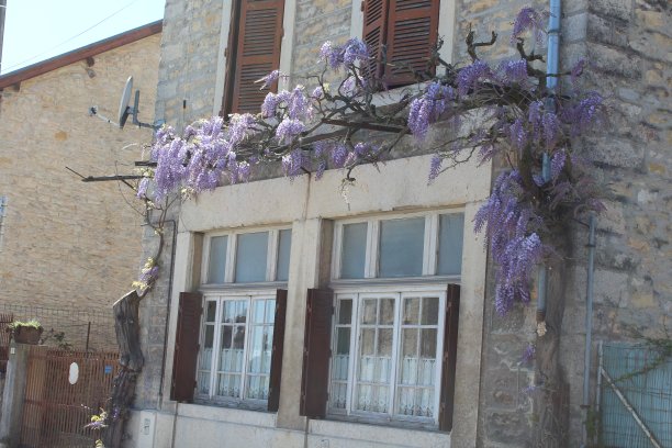 法国伊泽尔省特雷普村图片下载