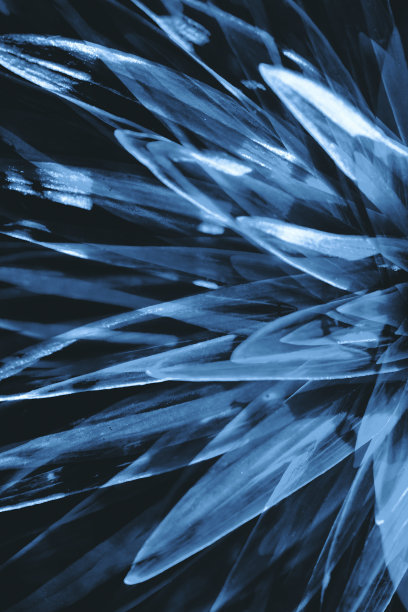 近距离观察，你会看到一种有着长长的叶子的超现实大植物的幻觉。对酒精和毒品主题的消极抽象幻觉。大麻或酒精的致幻热带效应。迷幻药的效果。大麻毒品。图片下载