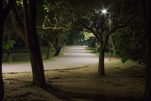 和平的道路图片下载