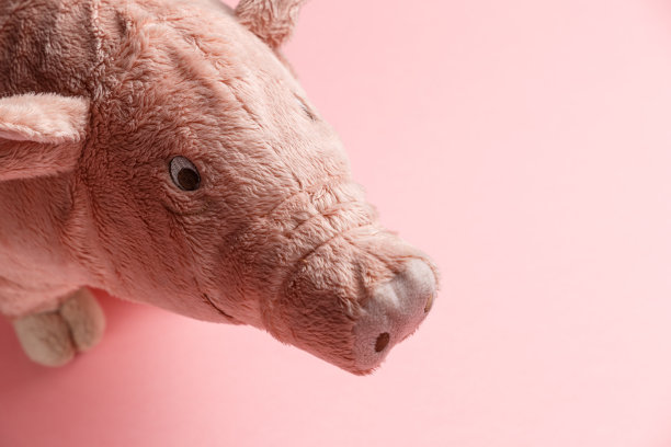 农历的猪年。粉红色背景上的新年猪。新年快乐，2019年黄土猪年。副本的空间。假日的概念图片下载