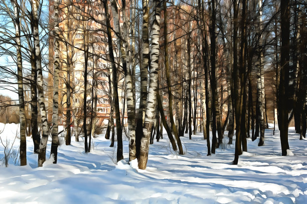 多层桦木房屋。图片下载