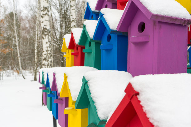 在冬天禽舍。鸟舍上的雪。放置你的文本。图片下载