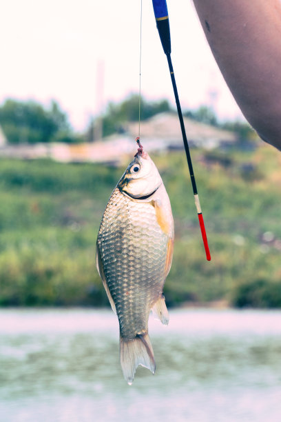 小鱼钩上刺十字图片下载