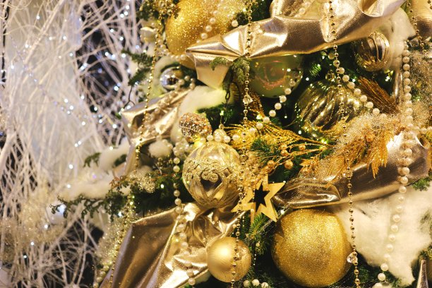 美丽的圣诞树图片下载