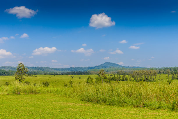 在春天的下午，草原森林和山上的蓝天白云景观图片下载