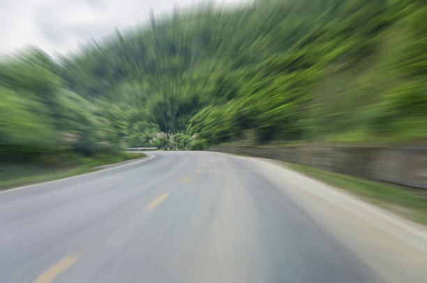 森林之路图片下载