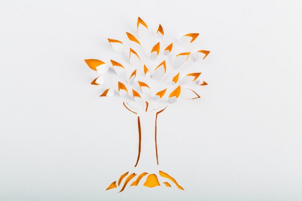 折纸。图片下载