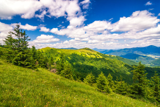 春天的风景有草地和山峰。图片下载