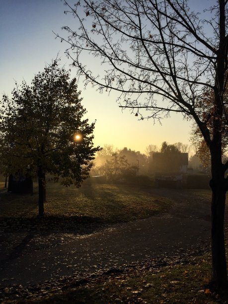 秋天的风景图片下载