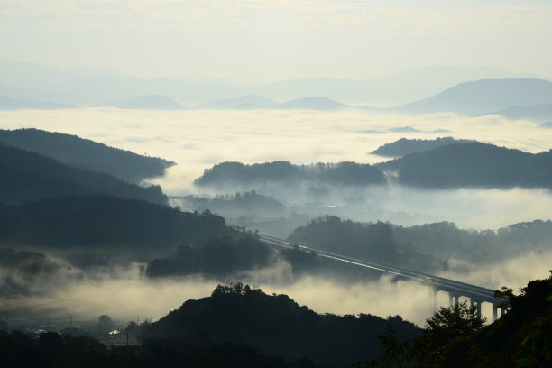 有雾的早晨VD718图片下载