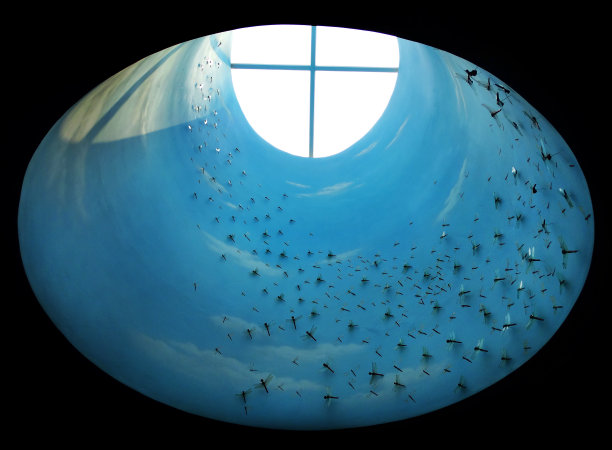 梦见VD718-1睡着了图片下载