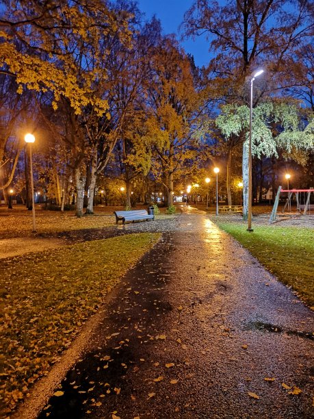 秋天空旷的操场图片下载