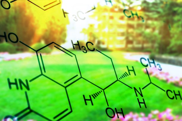 生物化学。图片下载